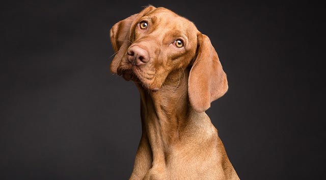 How to conduct competitive pricing analysis